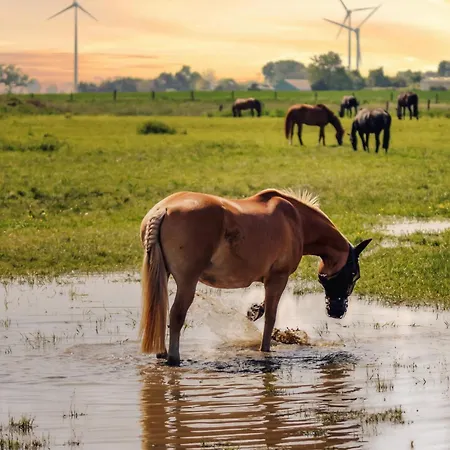 Apartment Romantik - Cozy - Stylisch - Naturnah