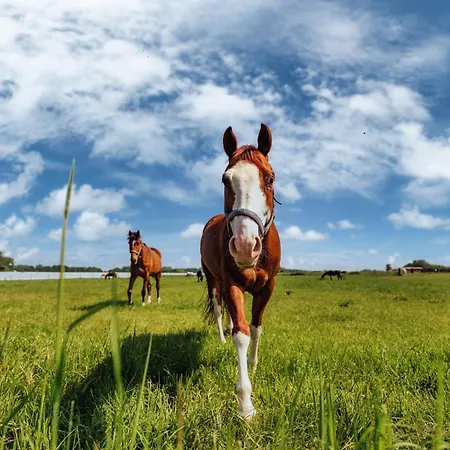 Romantik - Cozy - Stylisch - Naturnah *