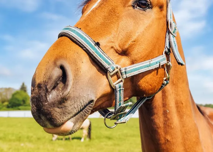 Romantik - Cozy - Stylisch - Naturnah * Kempen