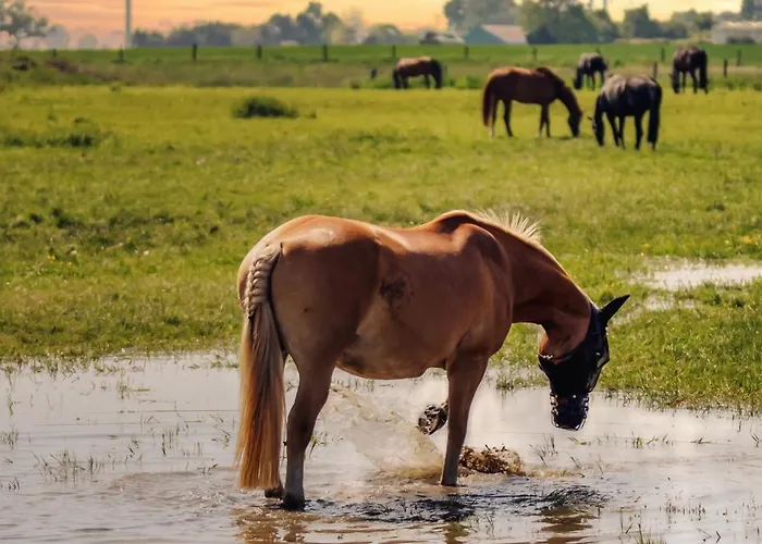 Apartment Romantik - Cozy - Stylisch - Naturnah