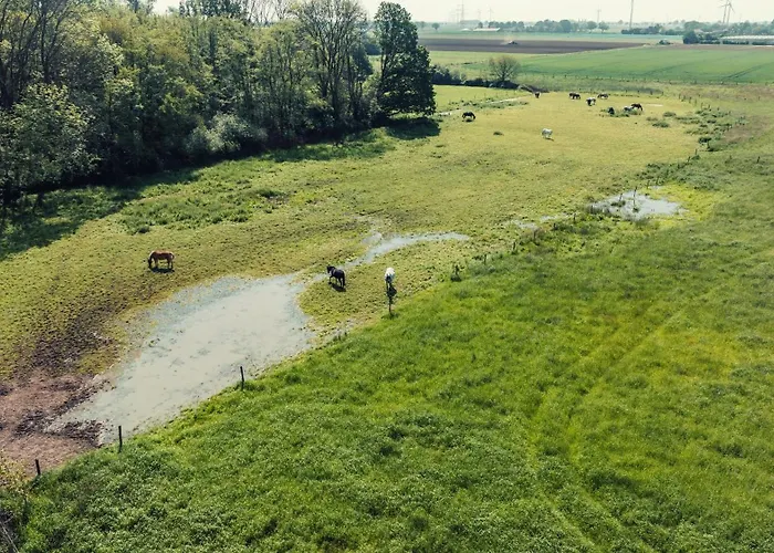 Romantik - Cozy - Stylisch - Naturnah Daire Kempen