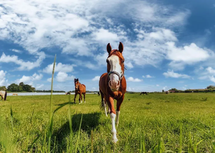 Romantik - Cozy - Stylisch - Naturnah *